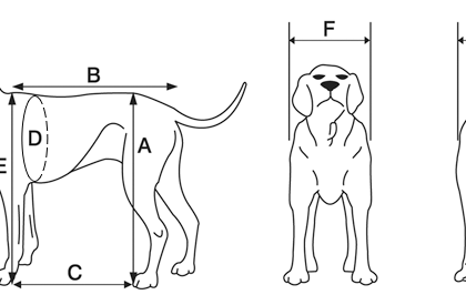 Différences entre les 3 modèles de tapis roulant Firepaw Dog?